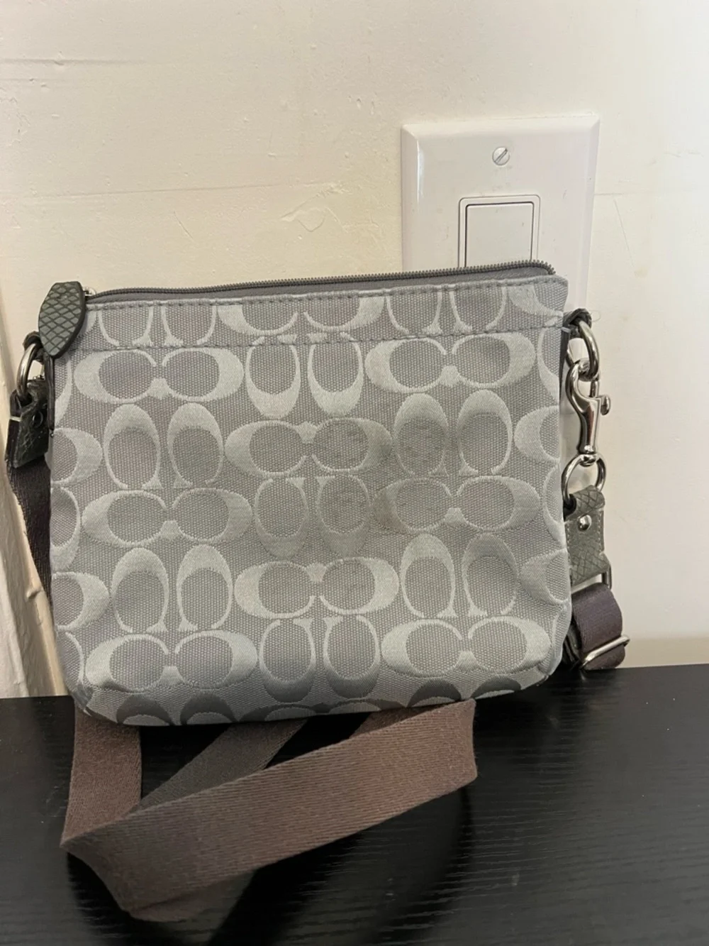 Coach crossbody light